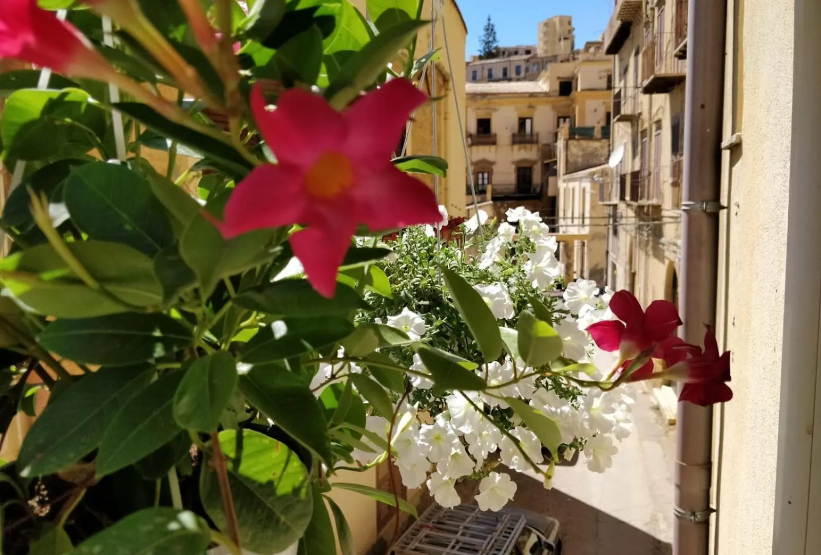 Kalos Rooms Agrigento Italy
